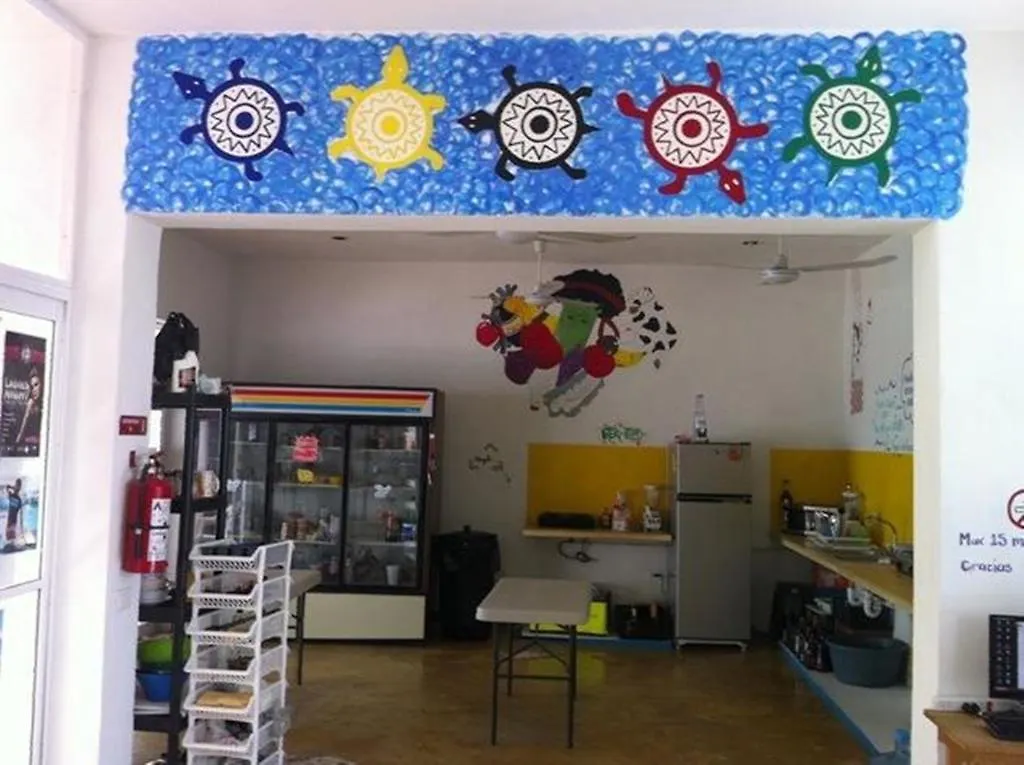 Hostal Vive La Vida プレヤデルカーメン メキシコ